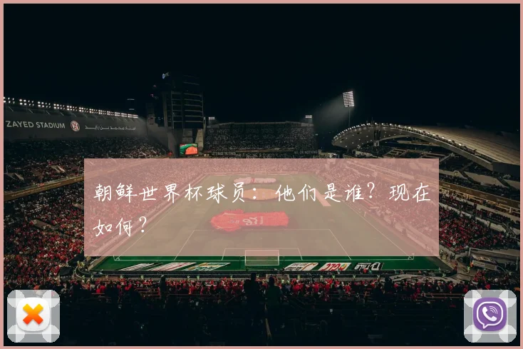 朝鲜世界杯球员：他们是谁？现在如何？